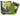 Dragon Shield 100ct Matte