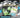 Pokemon Black Bolt 3-Pack Tech Sticker Collection 